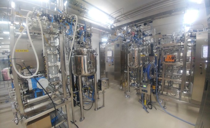 Drug Substance (DS) Process