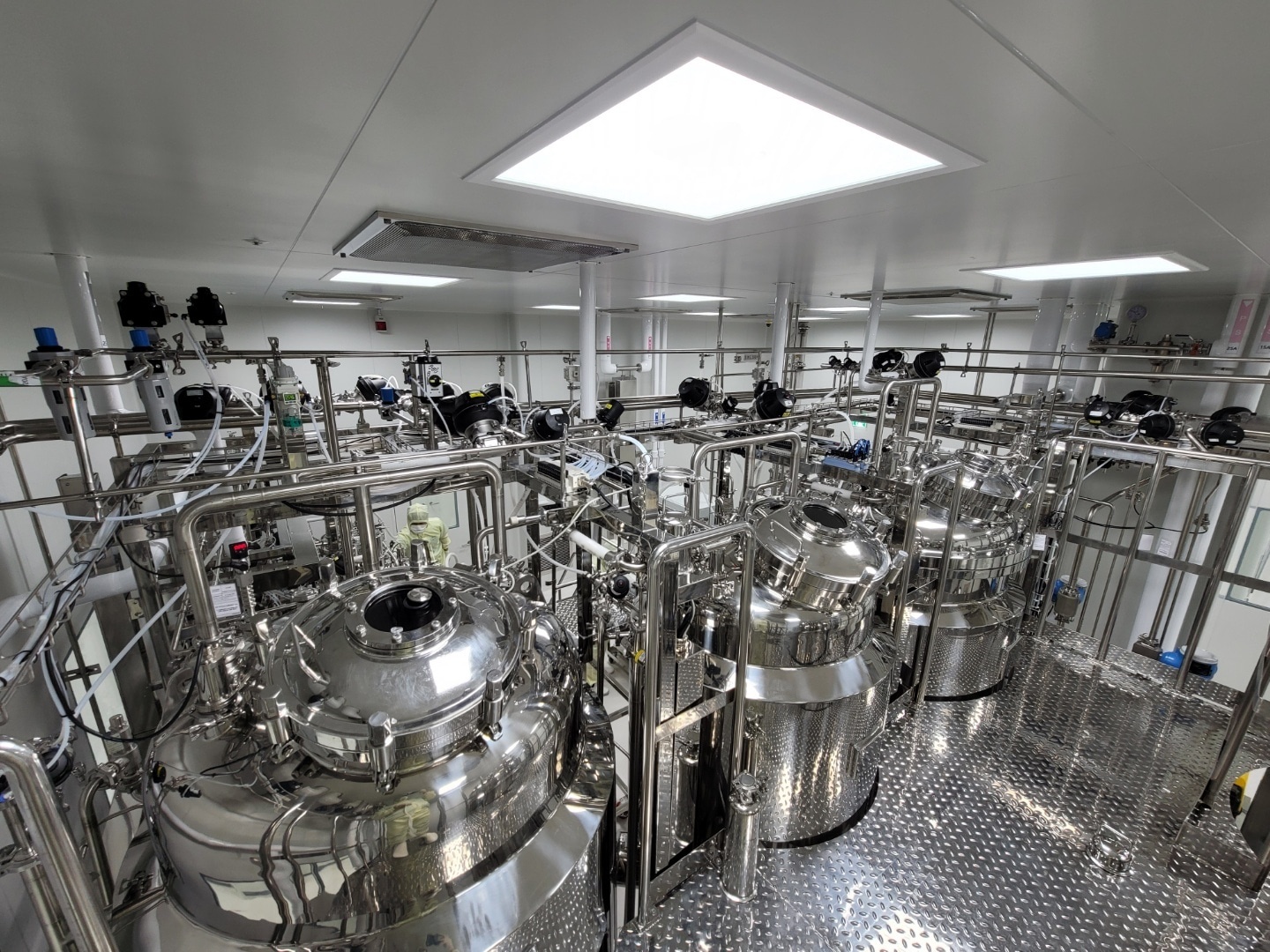 Drug Substance (DS) Process