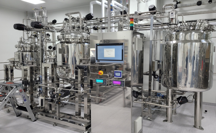 Drug Substance (DS) Process